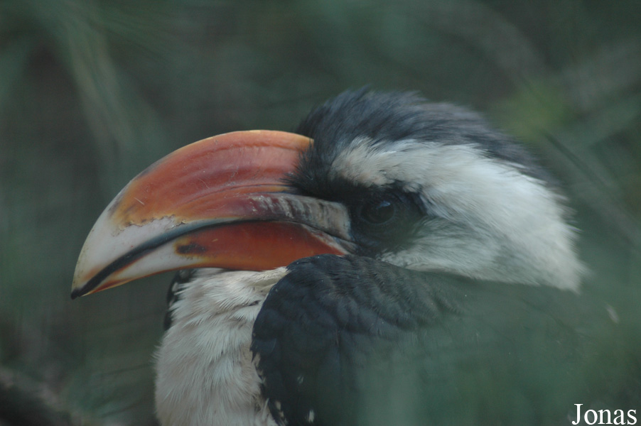 Zoo Antwerpen
