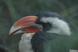 Zoo Antwerpen