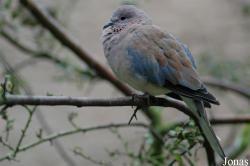 NaturZoo Rheine