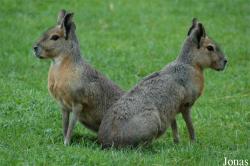 NaturZoo Rheine