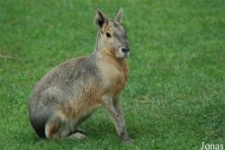NaturZoo Rheine
