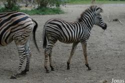 NaturZoo Rheine