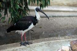 Zoo Osnabrück