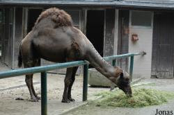Zoo Osnabrück