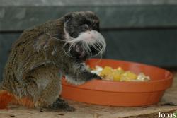 Zoo Osnabrück