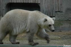 Zoo Osnabrück