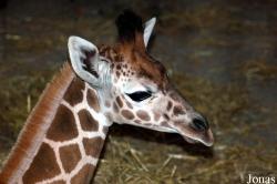 Zoo Osnabrück