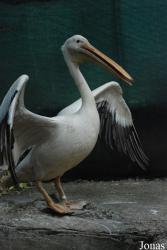 Bioparco di Roma