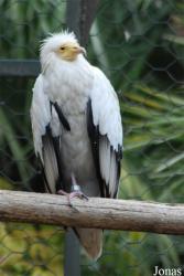 Bioparco di Roma