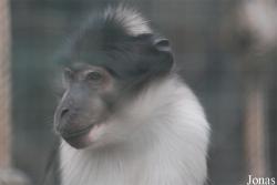 Bioparco di Roma