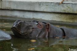 Bioparco di Roma