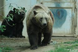 Bioparco di Roma