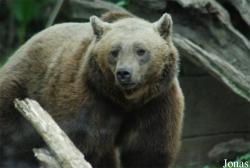 Bioparco di Roma