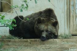 Bioparco di Roma