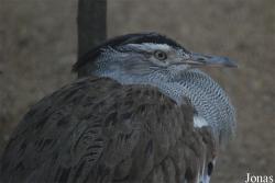 Bioparco di Roma
