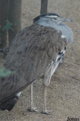 Bioparco di Roma