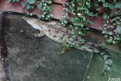 Bioparco di Roma