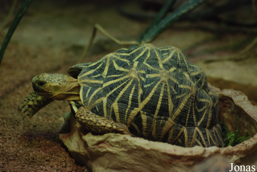 Bioparco di Roma