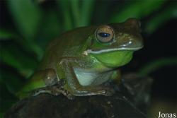 Bioparco di Roma
