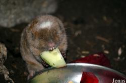 Zoo Wuppertal