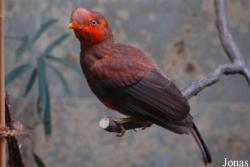 Zoo Wuppertal