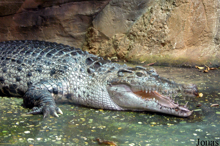 Zoo Wuppertal