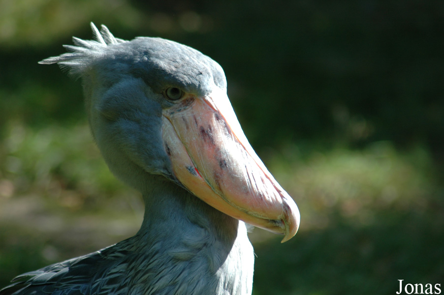 Zoo Wuppertal