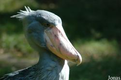 Zoo Wuppertal