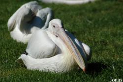 Zoo Wuppertal