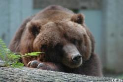 Zoo Wuppertal