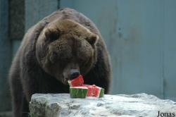 Zoo Wuppertal