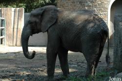 Zoo Wuppertal