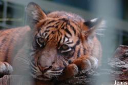 Zoo Wuppertal
