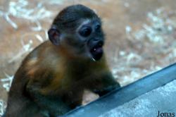 Zoo Wuppertal