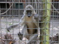 Dierenpark Wissel