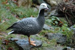 Dierenpark Wissel