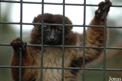 Dierenpark Wissel