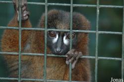 Dierenpark Wissel