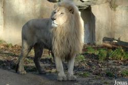 Ouwehands Dierenpark Rhenen