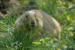 Tierpark Bochum
