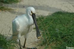 Tierpark Bochum