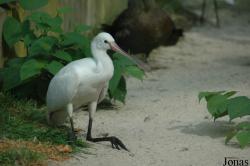 Tierpark Bochum