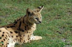 Tierpark Nadermann
