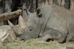 Zoo Dortmund