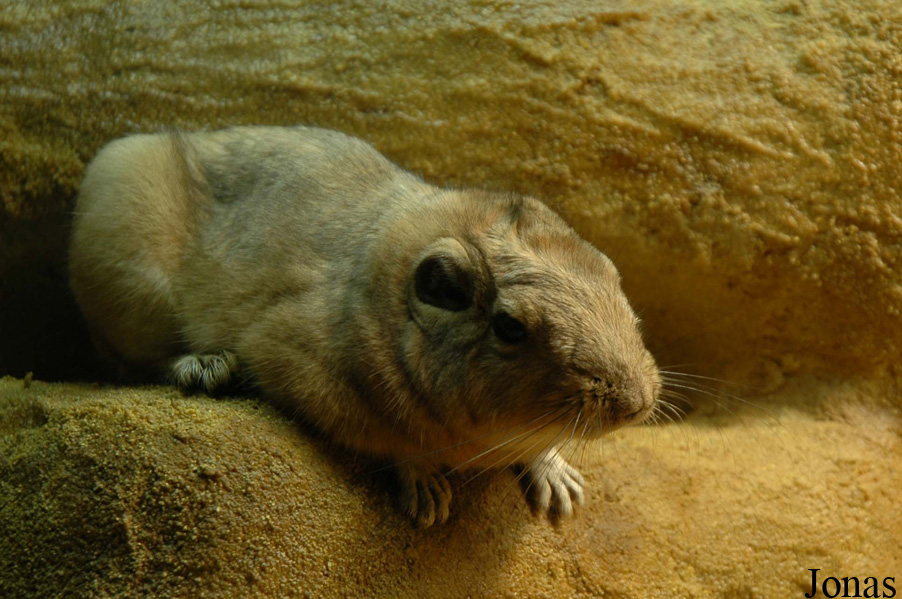 Aquazoo Düsseldorf