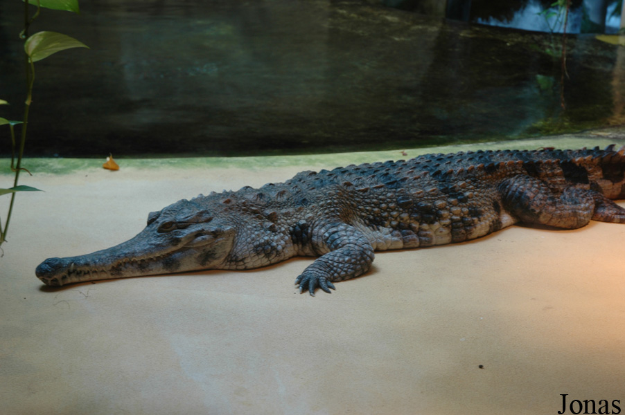 Aquazoo Düsseldorf