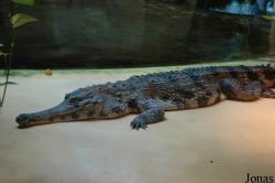 Aquazoo Düsseldorf