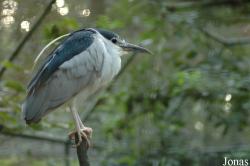 Tierpark Hamm