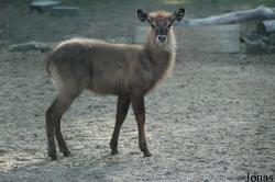 Tierpark Hamm