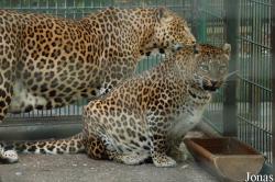 Tierpark Hamm